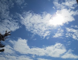 秋祭り'16-2②