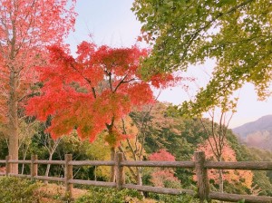 休日の過ごし方①